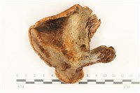 登錄號:F0036739藏品圖，第3張
