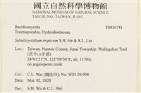 登錄號:F0036741藏品圖，第2張
