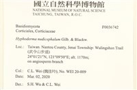登錄號:F0036742藏品圖，第2張