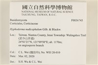 登錄號:F0036743藏品圖，第2張