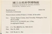 館號:F0036744藏品圖，第2張