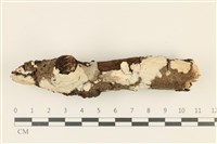 登錄號:F0036746藏品圖，第1張