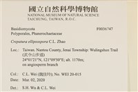 登錄號:F0036747藏品圖，第2張