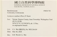 登錄號:F0036750藏品圖，第2張