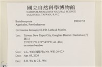 登錄號:F0036753藏品圖，第2張