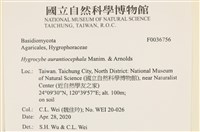 登錄號:F0036756藏品圖，第2張