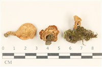 登錄號:F0036756藏品圖，第1張