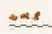 登錄號:F0036757藏品圖，第1張