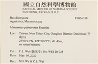 登錄號:F0036758藏品圖，第2張