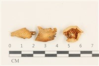 登錄號:F0036758藏品圖，第1張