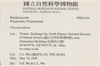 登錄號:F0036764藏品圖，第2張