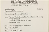 登錄號:F0036765藏品圖，第2張