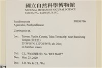 登錄號:F0036766藏品圖，第2張