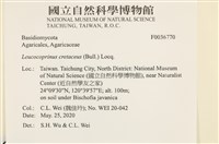 登錄號:F0036770藏品圖，第2張