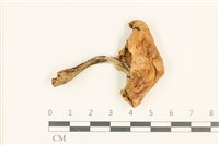 登錄號:F0036770藏品圖，第1張