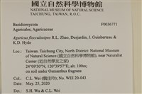 登錄號:F0036771藏品圖，第2張
