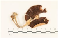 登錄號:F0036771藏品圖，第3張