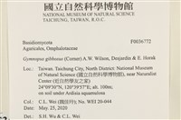 登錄號:F0036772藏品圖，第2張