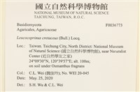 登錄號:F0036773藏品圖，第2張