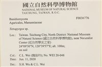 登錄號:F0036776藏品圖，第2張