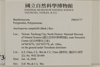 登錄號:F0036777藏品圖，第2張