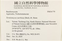 登錄號:F0036779藏品圖，第2張