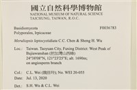 登錄號:F0036783藏品圖，第2張