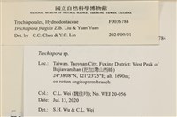 登錄號:F0036784藏品圖，第2張