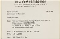 登錄號:F0036784藏品圖，第3張