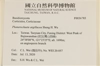 登錄號:F0036785藏品圖，第2張