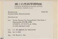 花耳屬藏品圖，第2張