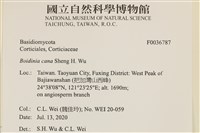 登錄號:F0036787藏品圖，第2張