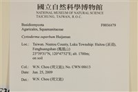 館號:F0036789藏品圖，第2張
