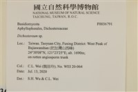 登錄號:F0036791藏品圖，第2張