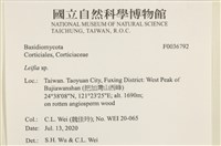 登錄號:F0036792藏品圖，第2張