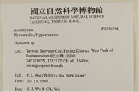 登錄號:F0036794藏品圖，第2張