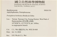 登錄號:F0036795藏品圖，第2張