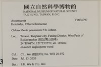 登錄號:F0036797藏品圖，第2張