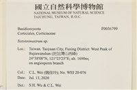 登錄號:F0036799藏品圖，第2張