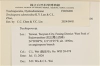 登錄號:F0036800藏品圖，第2張