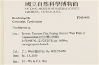 登錄號:F0036800藏品圖，第3張