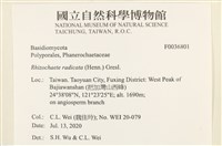 登錄號:F0036801藏品圖，第2張