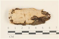 登錄號:F0036801藏品圖，第1張