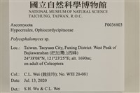 登錄號:F0036803藏品圖，第2張