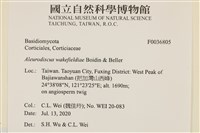 登錄號:F0036805藏品圖，第2張