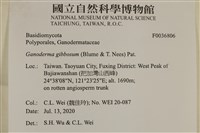 登錄號:F0036806藏品圖，第2張