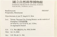 登錄號:F0036807藏品圖，第2張