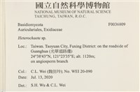 刺皮菌屬藏品圖，第2張