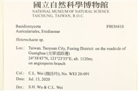 刺皮菌屬藏品圖，第2張