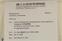 阿太菌屬藏品圖，第2張
